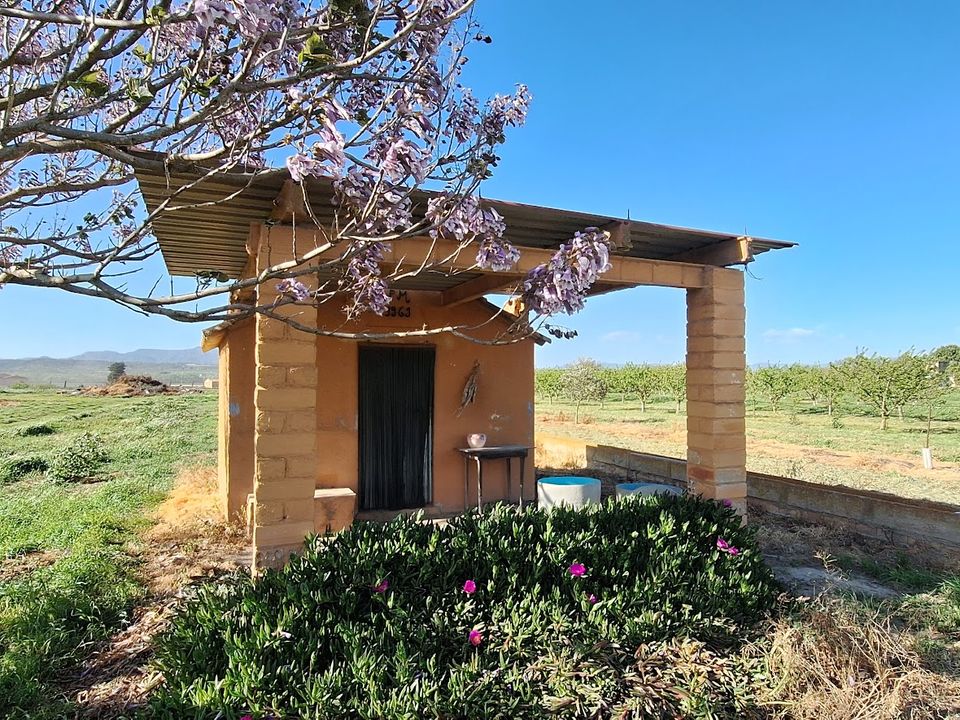 Finca i Ginestar, Tarragona - foto 2